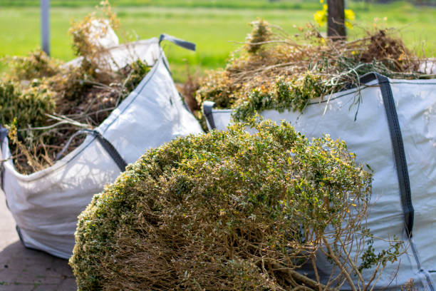 Trash Removal Near Me in Fisher, IL